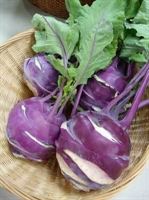 Picture of Purple Kohlrabi