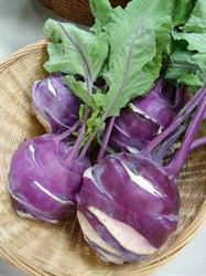 Picture of Purple Kohlrabi