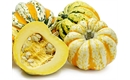 Picture of Celebration Squash