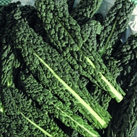 Picture of Black Magic Cavolo Nero Kale