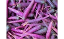 Picture of Purple Carrots