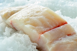 Picture of Halibut Loin Fillet