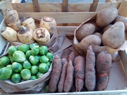 Picture of Medium Christmas Veg Box