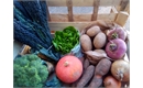 Picture of Organic Seasonal Fruit & Veg Box, Small
