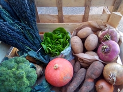 Picture of Organic Seasonal Fruit & Veg Box, Small