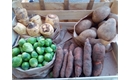 Picture of Small Christmas Veg Box
