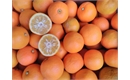 Picture of Seville Bitter Oranges