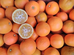 Picture of Seville Oranges (1kg)