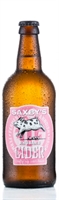 Picture of Saxby's Rhubarb Cider (500ml - 3.5%)
