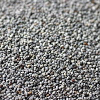 Picture of Poppy Seeds (200g)