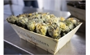 Picture of Maldon Rock Oysters 