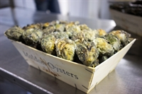 Picture of Maldon Rock Oysters 