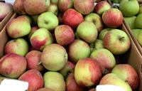 Picture of Braeburn Apples