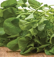 Picture of Land Cress 