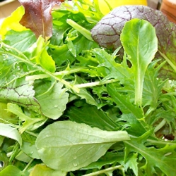 Picture of Mixed Baby Salad (125g)