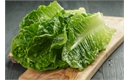 Picture of Cos Lettuce