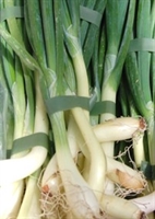 Picture of Spring Onions (bunched)