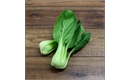 Picture of Pak Choi