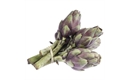 Picture of 5 x Baby Purple Artichoke