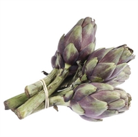 Picture of 5 x Baby Purple Artichoke