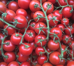 Picture of Cocktail vine Tomatoes