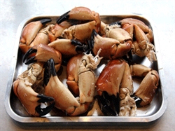 Picture of Fresh Crab Claws
