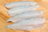 Picture of Pollack Fillets