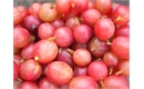 Picture of Pink Xenia Gooseberries