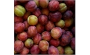 Picture of Excalibur Plums