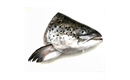 Picture of Scottish Salmon Head