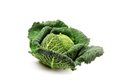 Picture of Savoy Cabbage