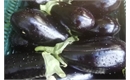 Picture of Aubergine