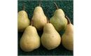 Picture of Kentish William Pears