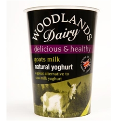 Picture of Natural Goat Milk Yogurt 500g