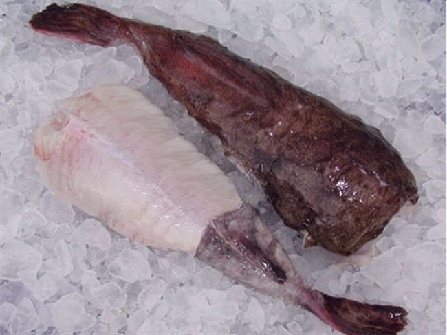 Farm Direct. Scampi Monkfish Tail (apx 400g - £20 / kg)
