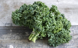 Picture of Green Curly Kale