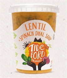 Picture of Lentil & Spinach Dahl soup