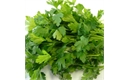 Picture of Flat Parsley