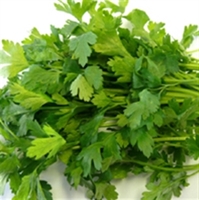 Picture of Flat Parsley