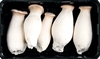 Picture of Fresh Eryngi Mushrooms