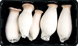 Picture of Fresh Eryngi Mushrooms