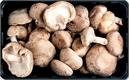 Picture of Fresh Shiitake Mushrooms