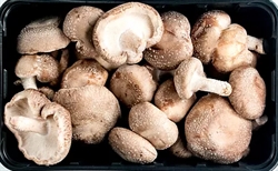 Picture of Fresh Shiitake Mushrooms