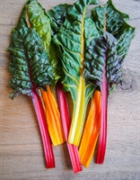 Picture of Rainbow Chard