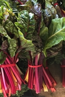 Picture of Swiss Chard