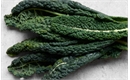 Picture of Cavolo Nero Kale