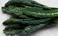 Picture of Cavolo Nero Kale