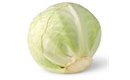 Picture of White Cabbage