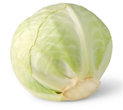 Picture of White Cabbage