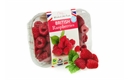 Picture of Herefordshire Raspberries